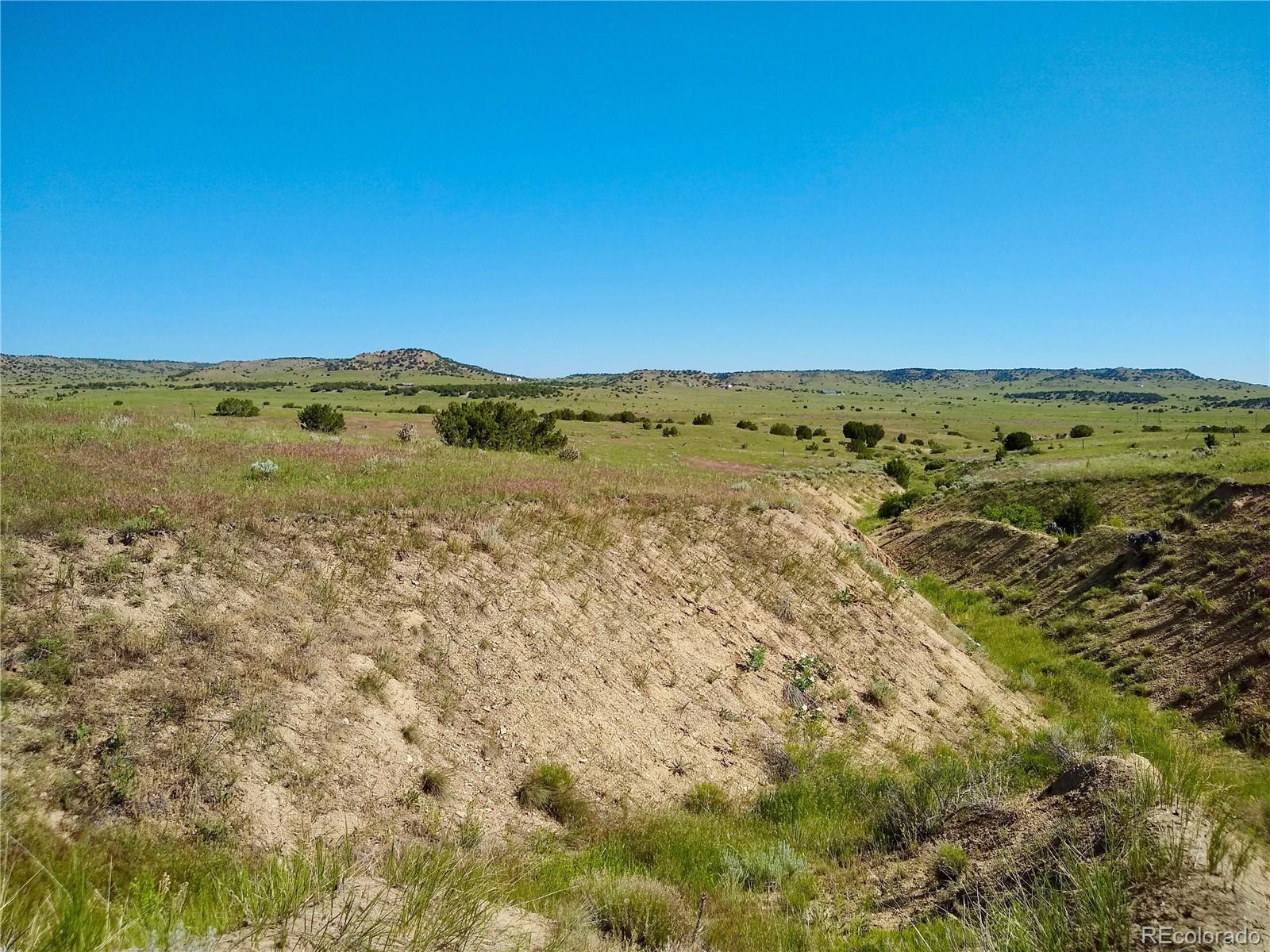 0 County 113 Lane Rye, CO 81069 - Photo 6 of 50