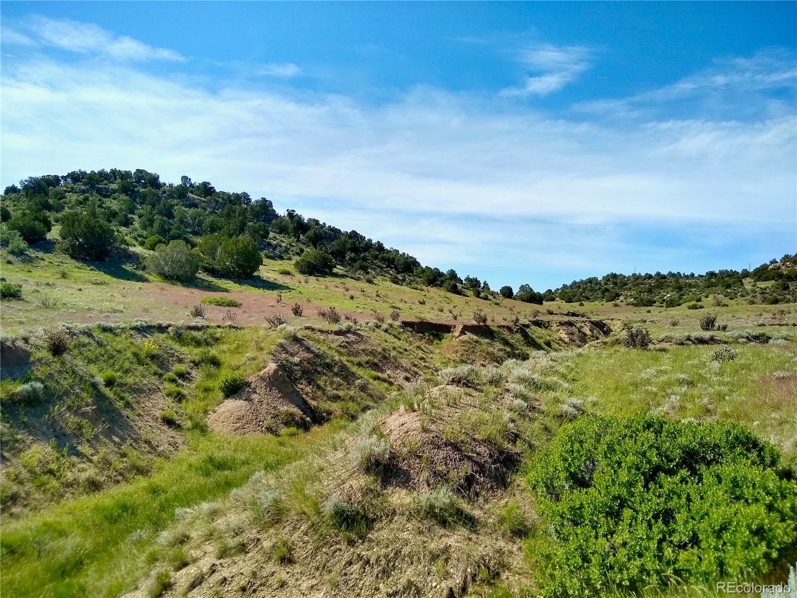 0 County 113 Lane Rye, CO 81069 - Photo 7 of 50
