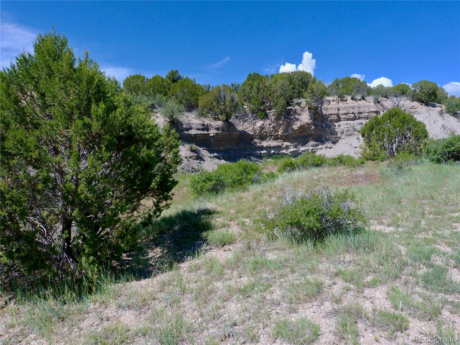 0 County 113 Lane Rye, CO 81069 - Photo 8 of 50