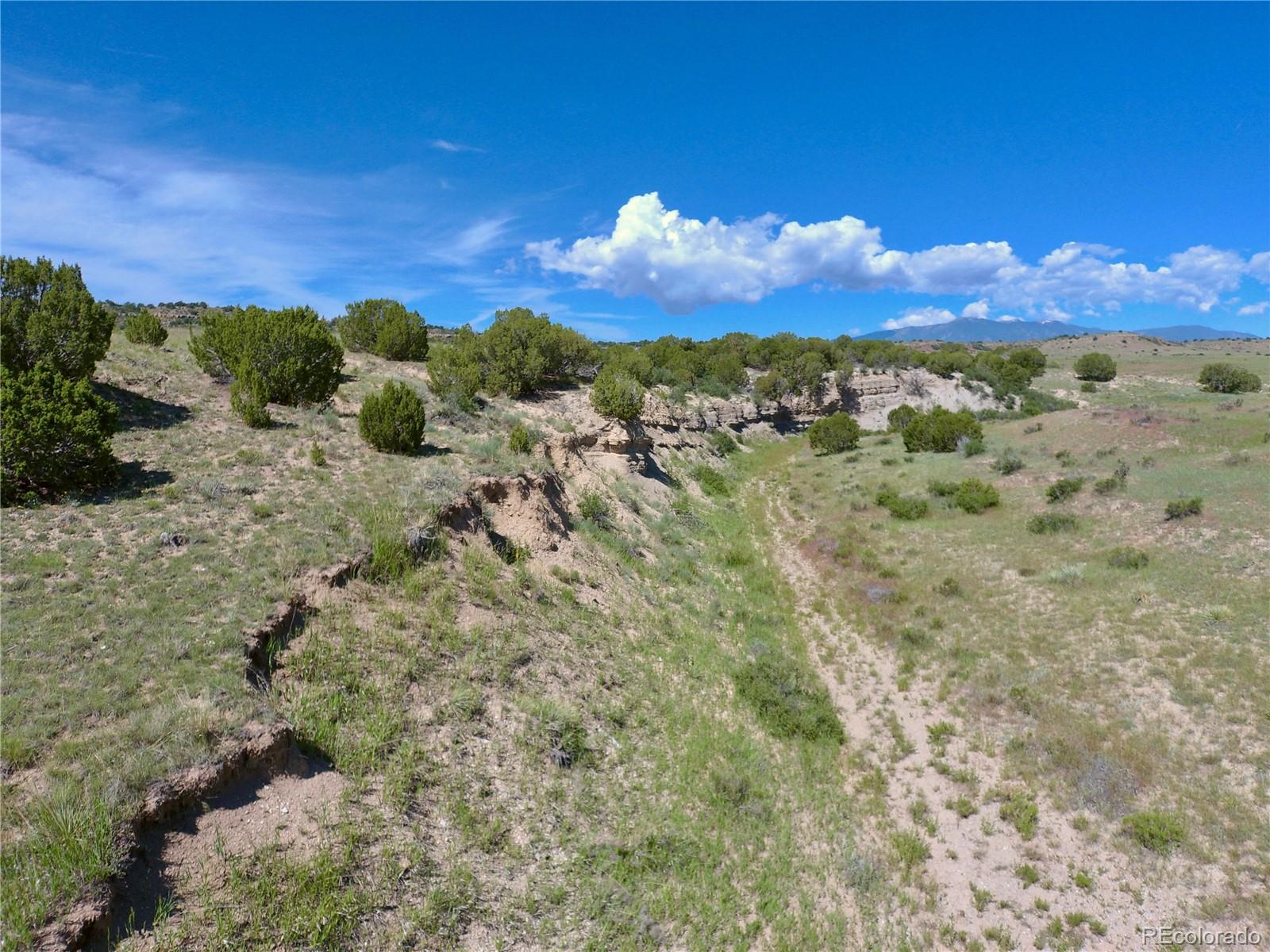 0 County 113 Lane Rye, CO 81069 - Photo 9 of 50