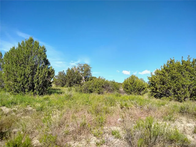 a view of an ocean and beach