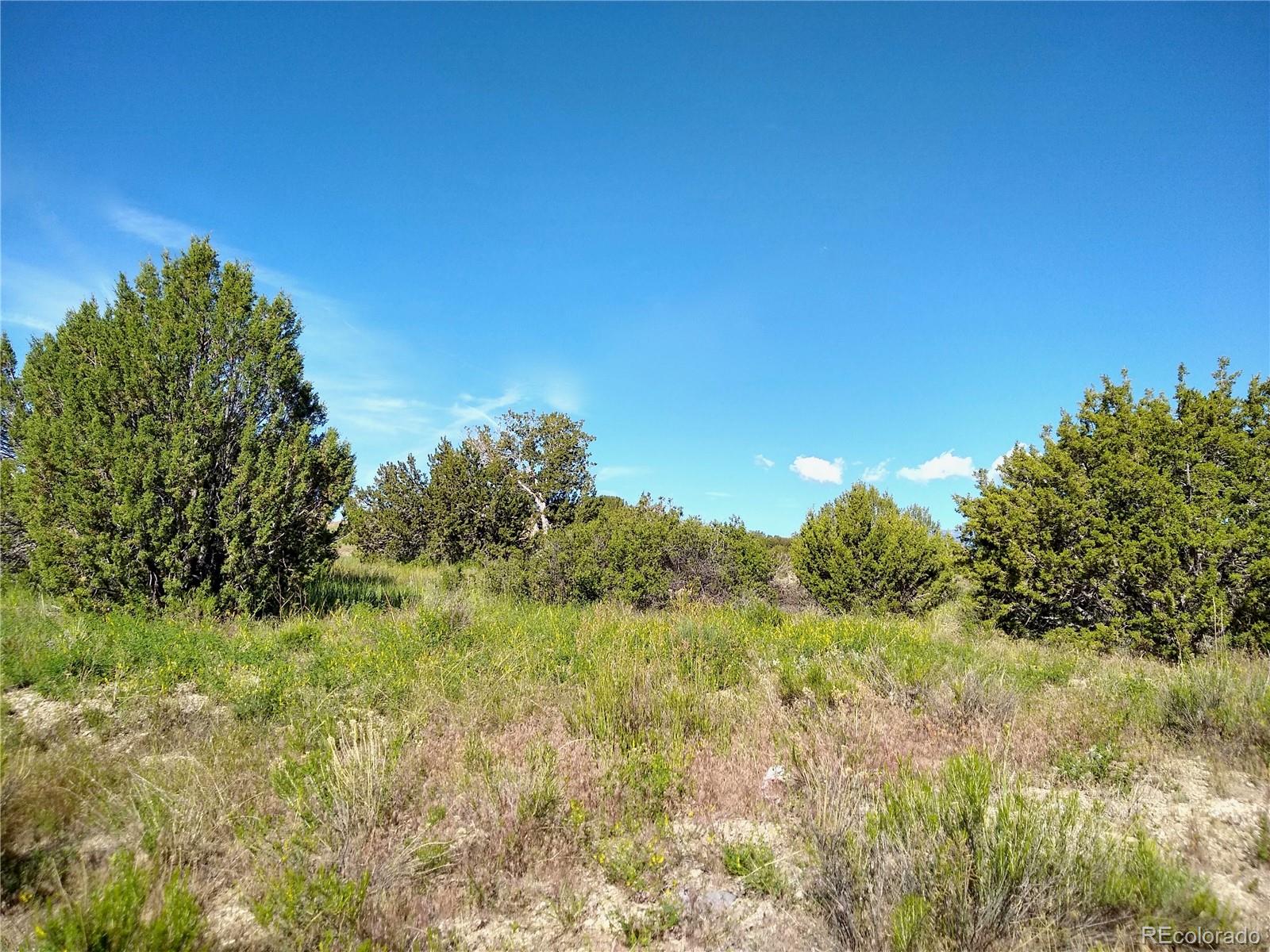 0 County 113 Lane Rye, CO 81069 - Photo 10 of 50