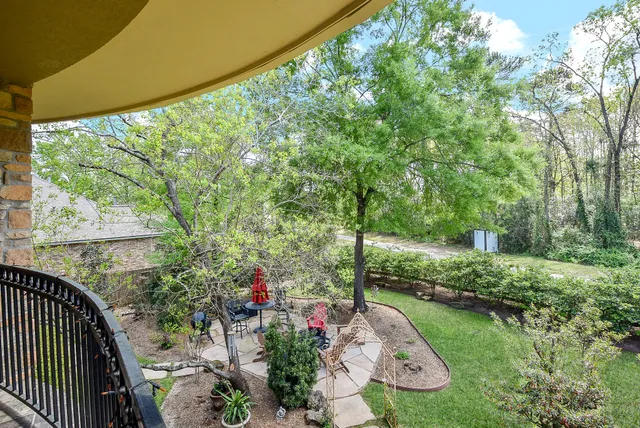 a view of a garden with plants and large trees