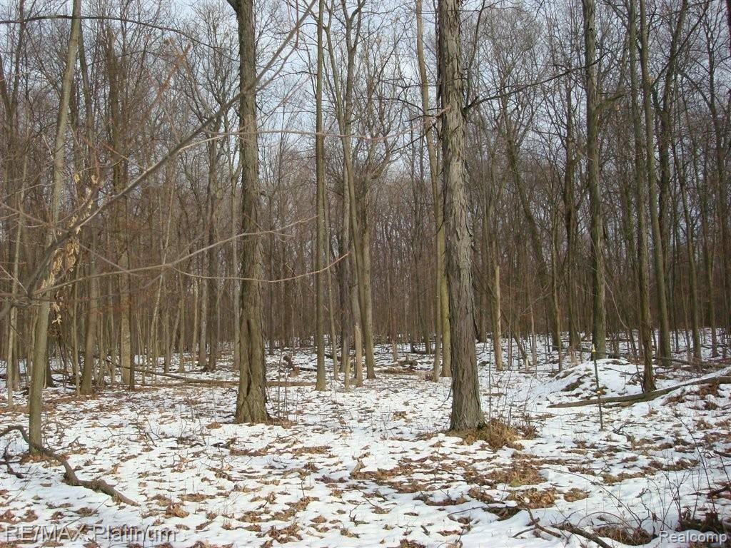 8118 Green Road Fenton, MI 48430 - Photo 6 of 10 More Views