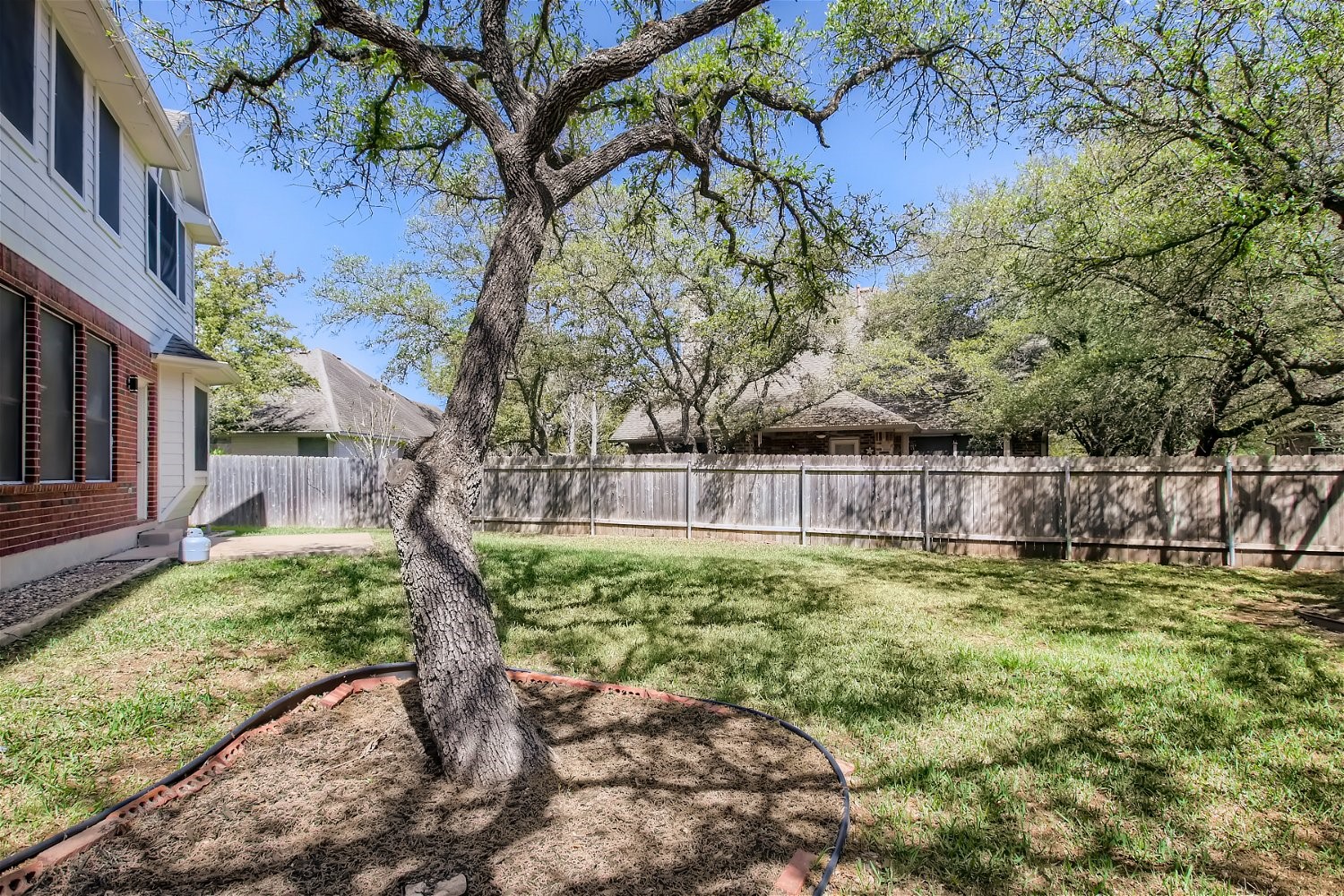 5320 Spirea Cove Austin, TX 78749 - Photo 28 of 28 a backyard of a house with lots of green space