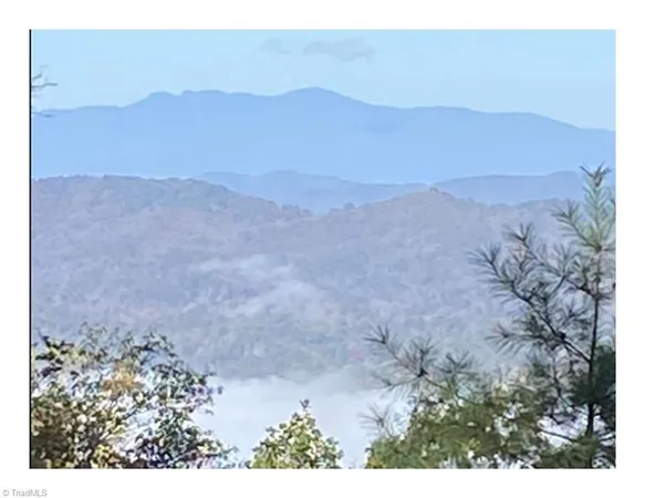 $2,597,475 | Tbd Barlowe Place, Lenoir, NC 28645