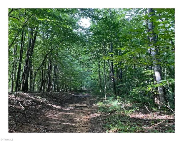 $2,597,475 | Tbd Barlowe Place, Lenoir, NC 28645