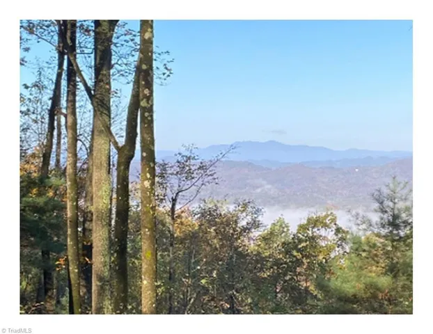 $2,597,475 | Tbd Barlowe Place, Lenoir, NC 28645