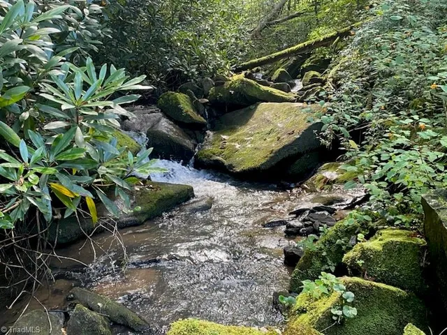 $2,597,475 | Tbd Barlowe Place, Lenoir, NC 28645