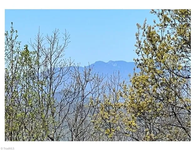 $2,597,475 | Tbd Barlowe Place, Lenoir, NC 28645