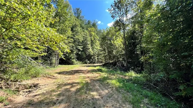 $2,597,475 | Tbd Barlowe Place, Lenoir, NC 28645