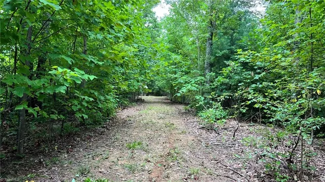 $2,597,475 | Tbd Barlowe Place, Lenoir, NC 28645