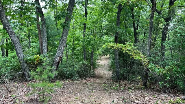 $2,597,475 | Tbd Barlowe Place, Lenoir, NC 28645