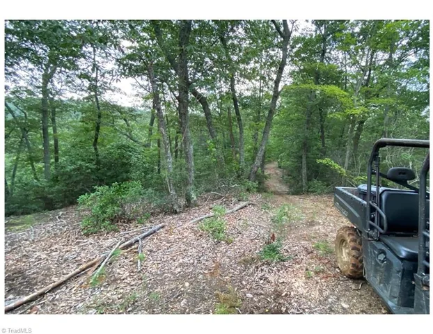 $2,597,475 | Tbd Barlowe Place, Lenoir, NC 28645