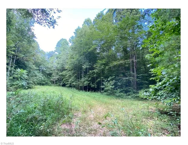$2,597,475 | Tbd Barlowe Place, Lenoir, NC 28645