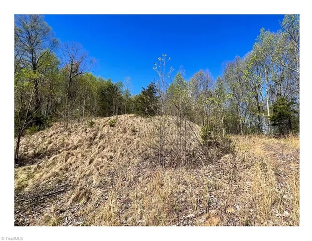 $2,597,475 | Tbd Barlowe Place, Lenoir, NC 28645