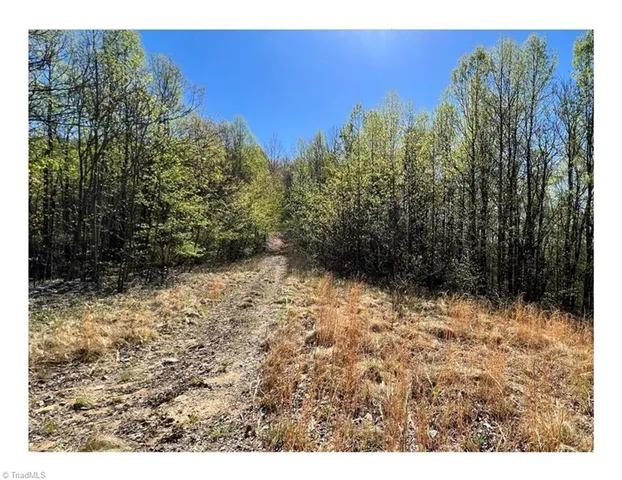 $2,597,475 | Tbd Barlowe Place, Lenoir, NC 28645