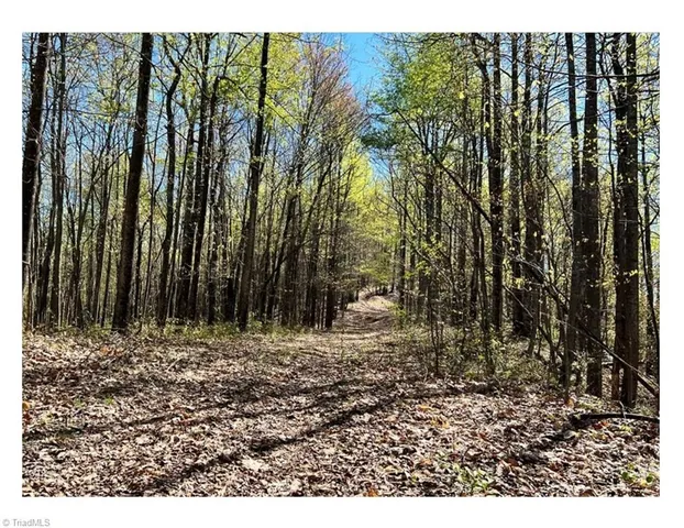 $2,597,475 | Tbd Barlowe Place, Lenoir, NC 28645