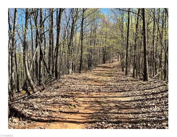 $2,597,475 | Tbd Barlowe Place, Lenoir, NC 28645