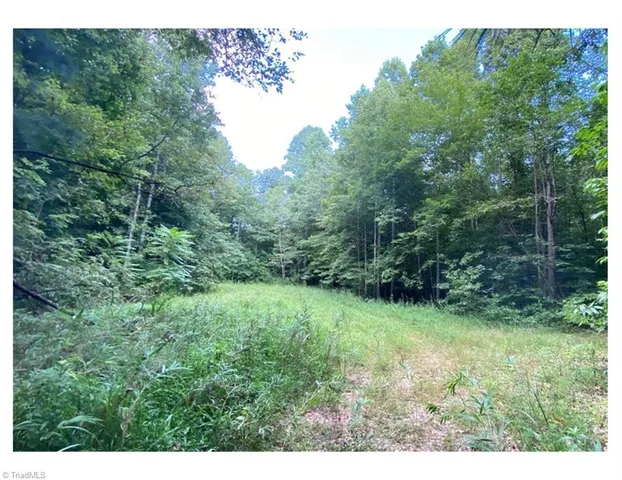 $2,597,475 | Tbd Barlowe Place, Lenoir, NC 28645