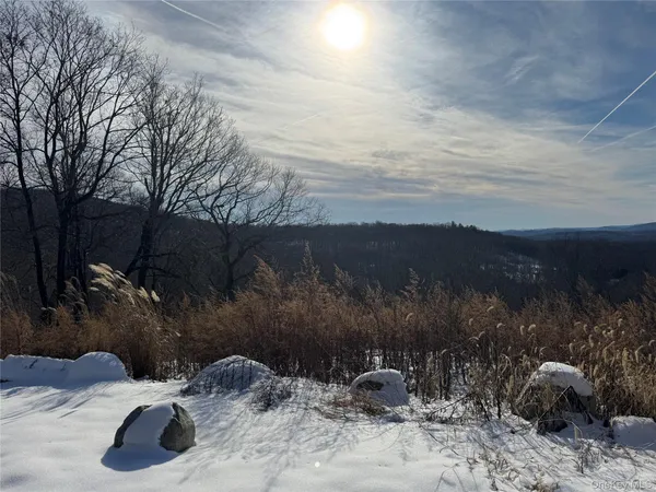 a view of a yard covered with snow in back