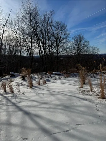 a view of a yard with an outdoor space