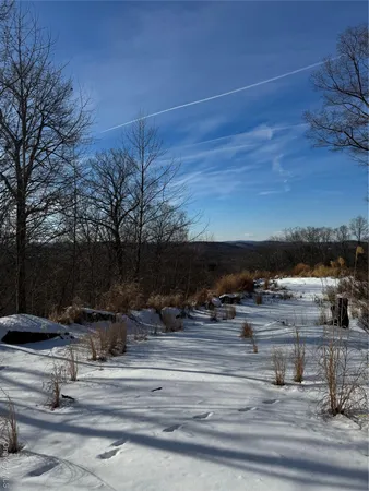 a view of a backyard of a house