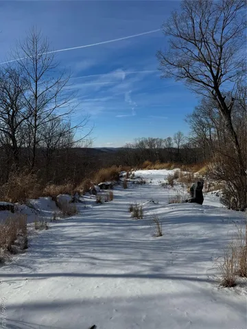 a view of outdoor space and yard
