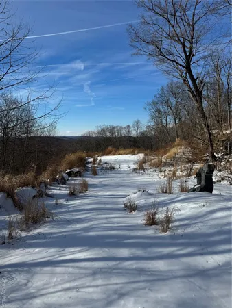a view of a backyard of the house