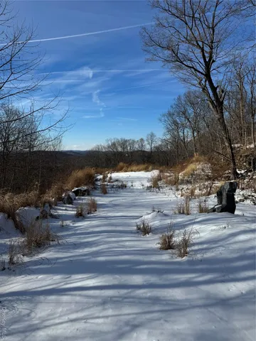 a view of a backyard of the house