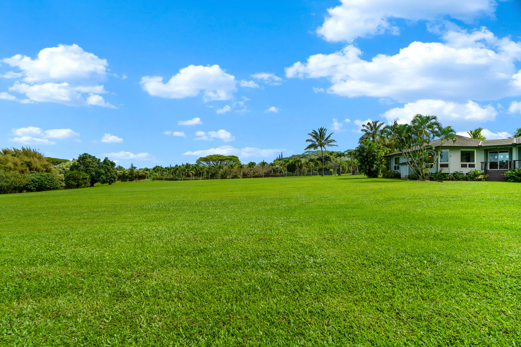 4928 Wailapa Road, Unit A Kilauea, HI 96754 - Photo 30 of 30 a view of a big yard with plants and large trees