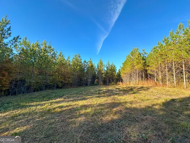 $349,999 | 0 Jordon Road, Waverly Hall, GA 31831