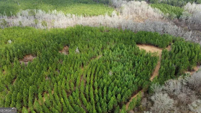 $349,999 | 0 Jordon Road, Waverly Hall, GA 31831