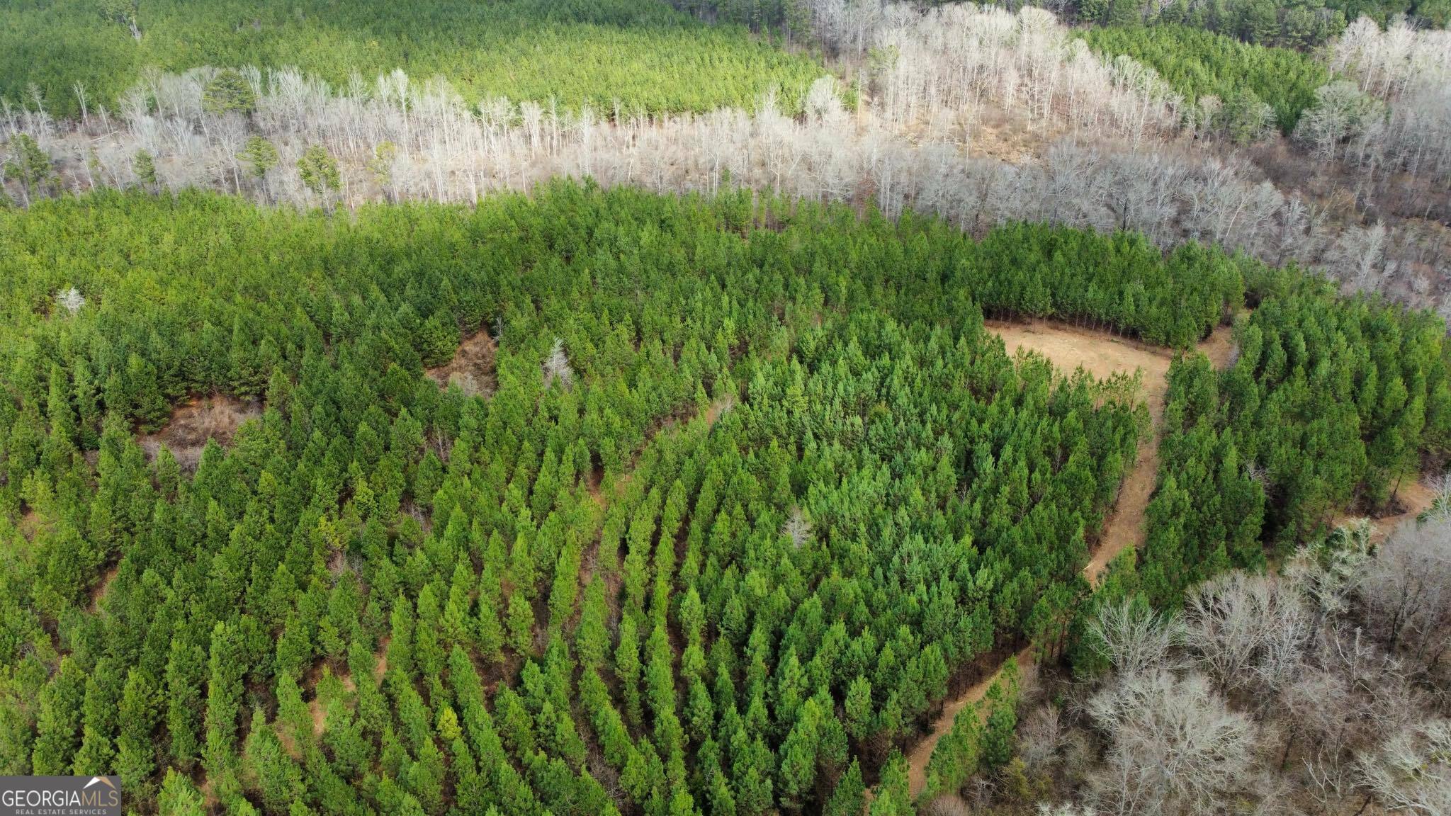 0 Jordon Road Waverly Hall, GA 31831 - Photo 11 of 22