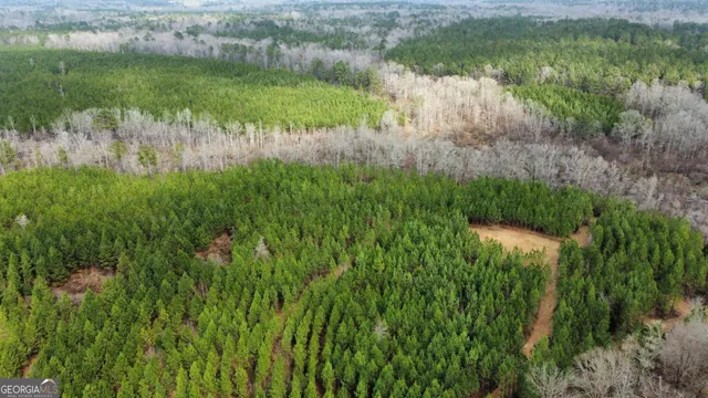 $349,999 | 0 Jordon Road, Waverly Hall, GA 31831