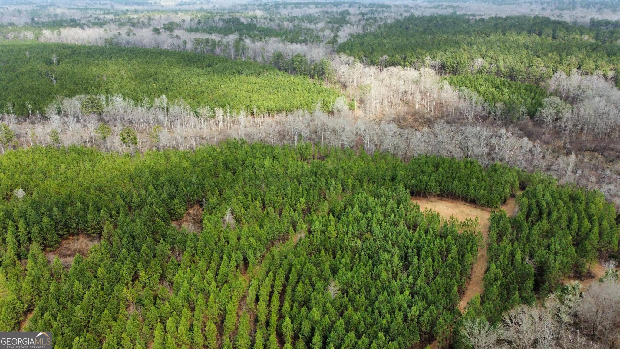 0 Jordon Road Waverly Hall, GA 31831 - Photo 12 of 22