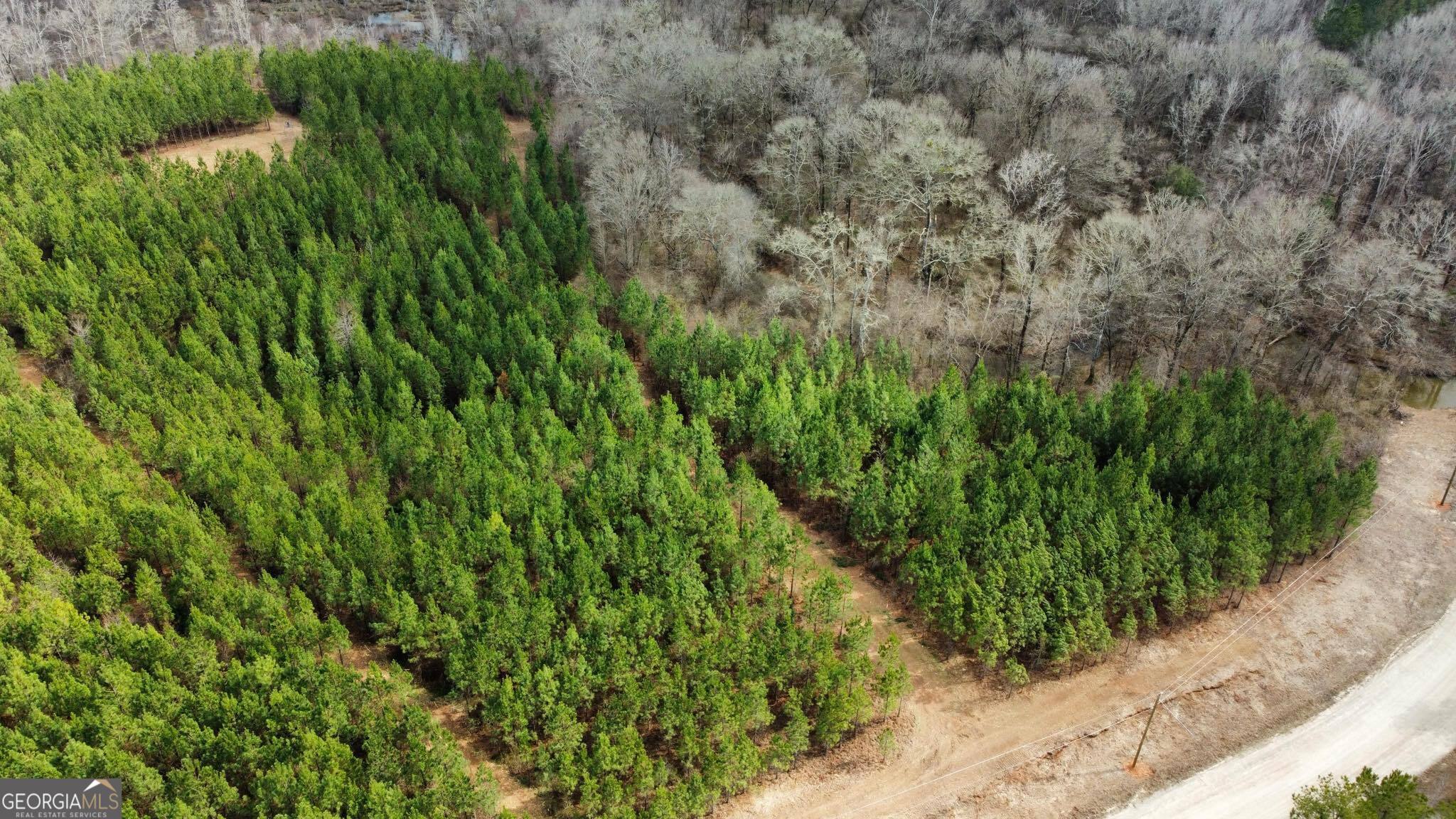 0 Jordon Road Waverly Hall, GA 31831 - Photo 13 of 22