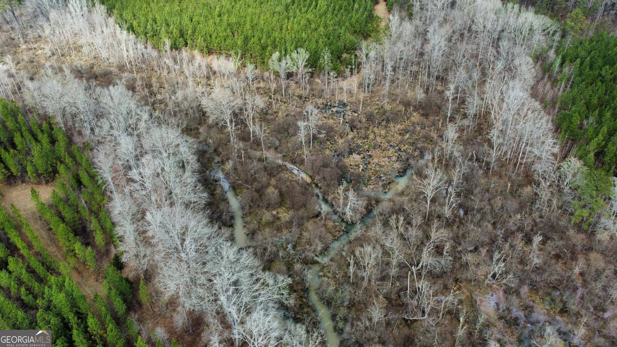 0 Jordon Road Waverly Hall, GA 31831 - Photo 14 of 22