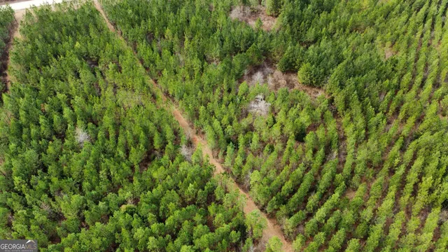 $349,999 | 0 Jordon Road, Waverly Hall, GA 31831