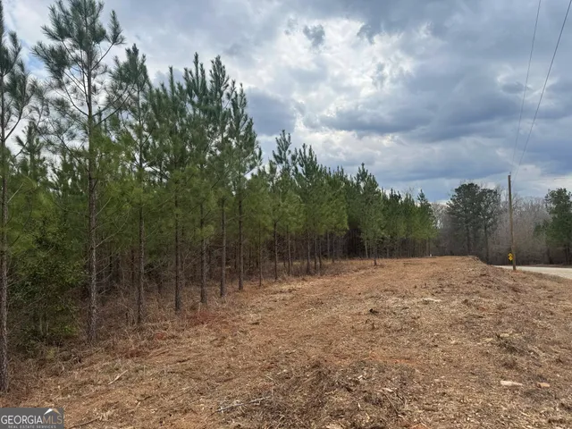 $349,999 | 0 Jordon Road, Waverly Hall, GA 31831