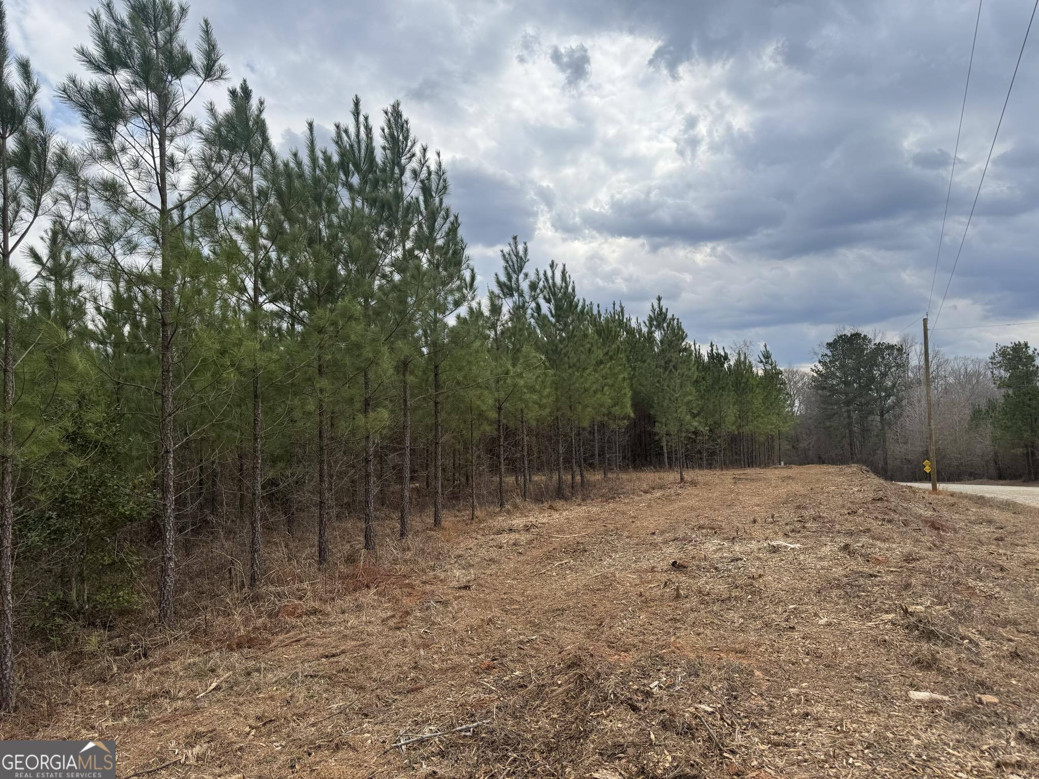 0 Jordon Road Waverly Hall, GA 31831 - Photo 16 of 22