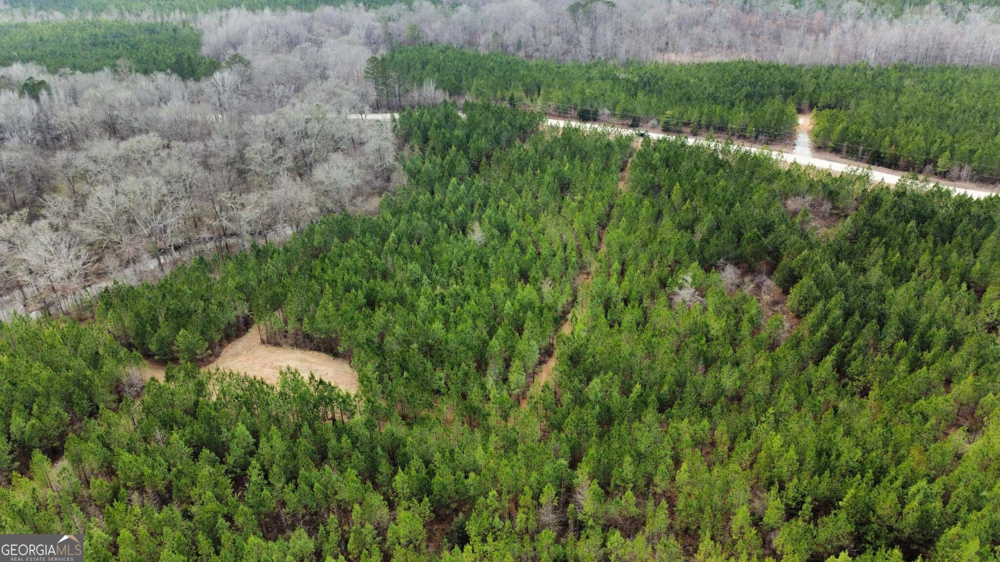 0 Jordon Road Waverly Hall, GA 31831 - Photo 17 of 22