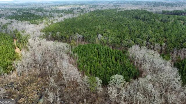 $349,999 | 0 Jordon Road, Waverly Hall, GA 31831