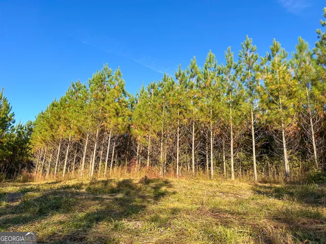 $349,999 | 0 Jordon Road, Waverly Hall, GA 31831