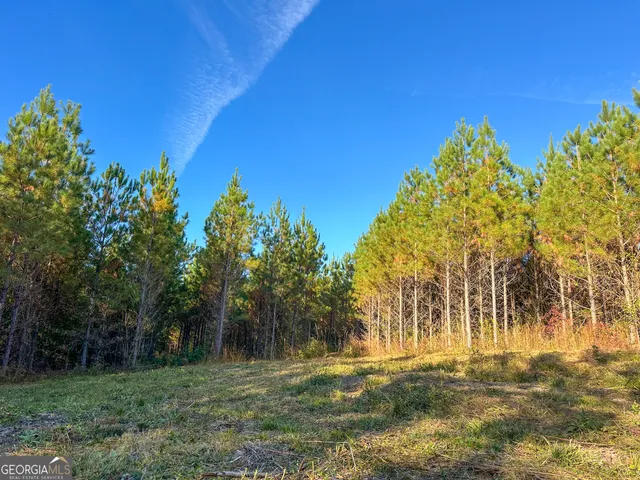 $349,999 | 0 Jordon Road, Waverly Hall, GA 31831