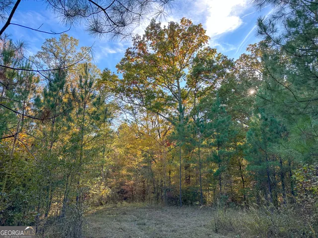 $349,999 | 0 Jordon Road, Waverly Hall, GA 31831