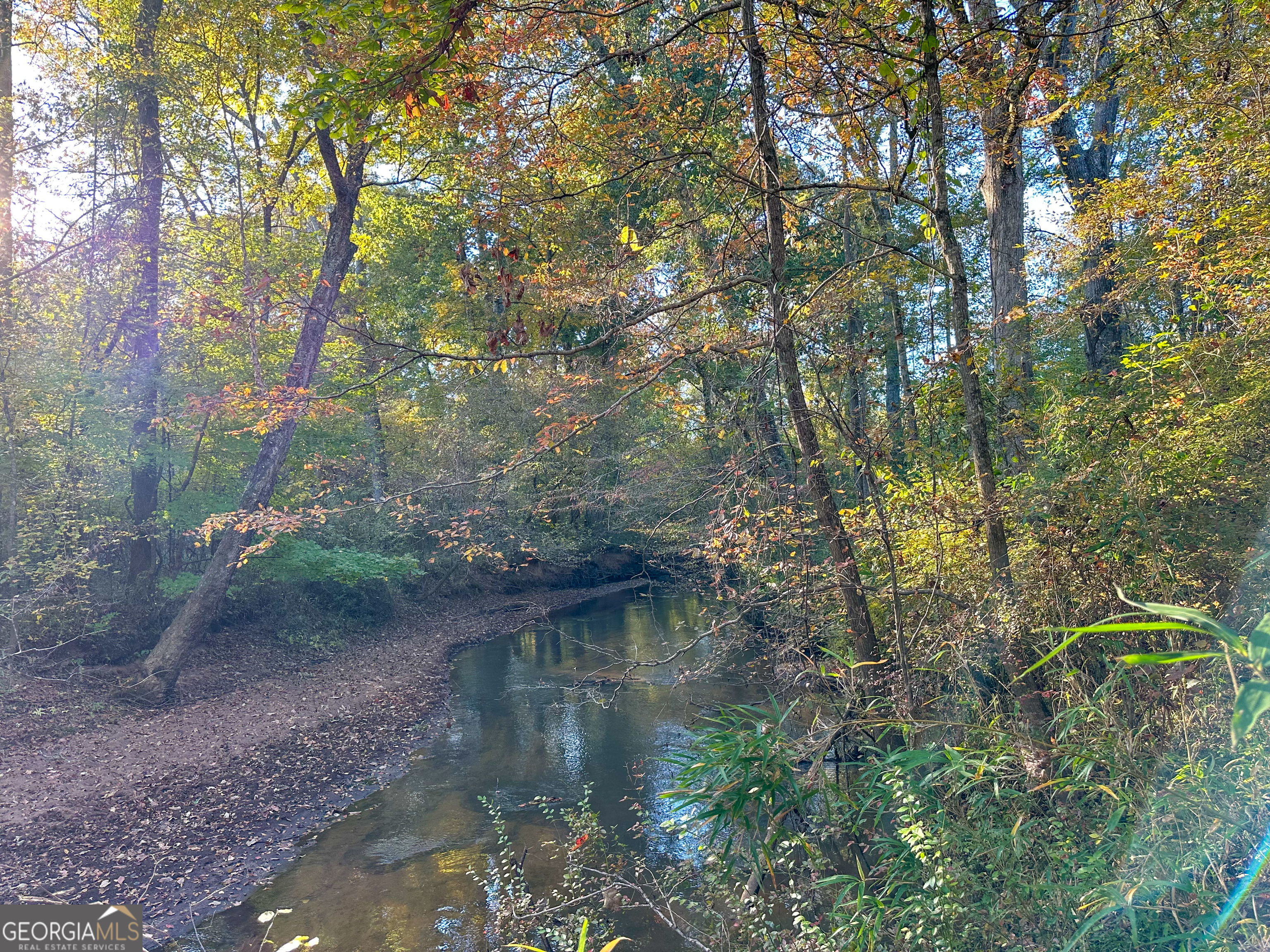 0 Jordon Road Waverly Hall, GA 31831 - Photo 22 of 22