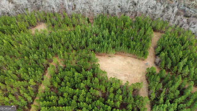 $349,999 | 0 Jordon Road, Waverly Hall, GA 31831