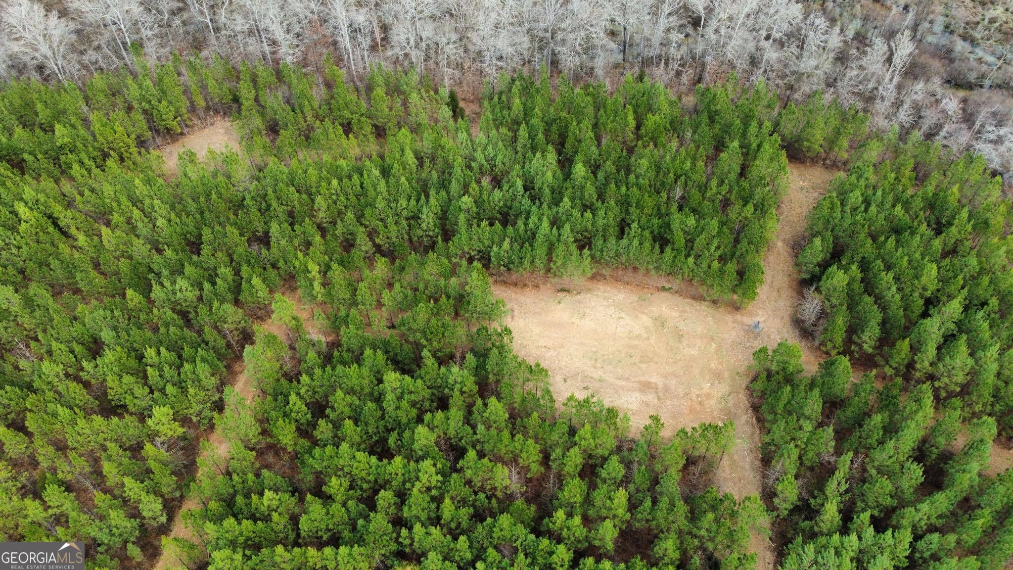 0 Jordon Road Waverly Hall, GA 31831 - Photo 5 of 22