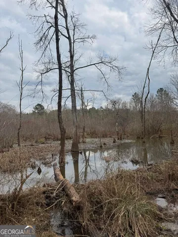 $349,999 | 0 Jordon Road, Waverly Hall, GA 31831